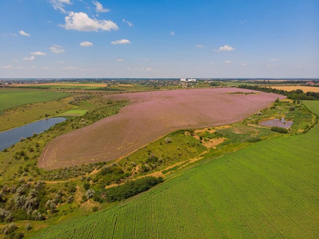 Blick auf eine Landschaft mit Lavendelfeld