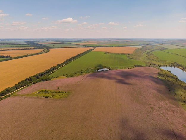 Blick auf eine Landschaft mit Lavendelfeld