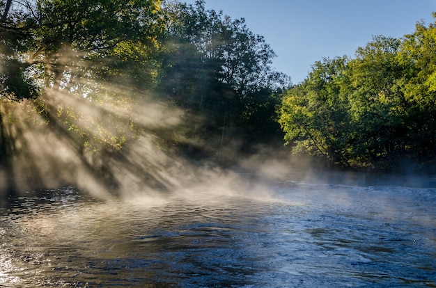 Blick auf eine wunderschöne Landschaft mit Bäumen, Wasser, Morgenlicht und Nebel.