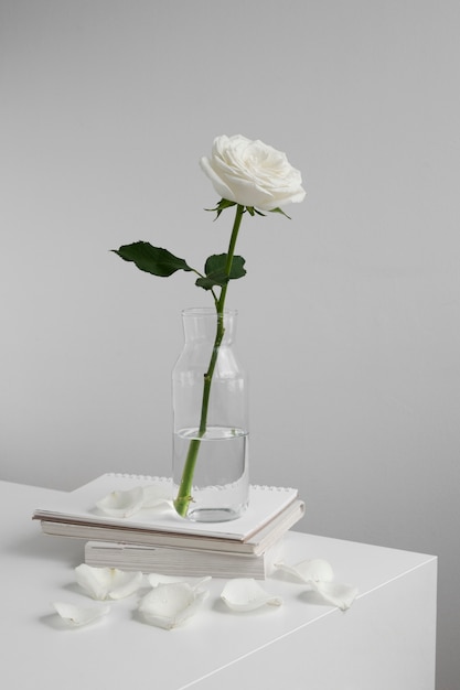 Kostenloses Foto blick auf eine zarte weiße rose in einer vase