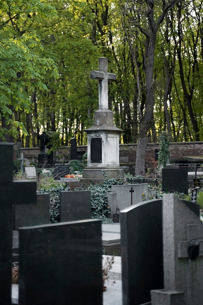 Blick auf einen Friedhof mit Grabsteinen