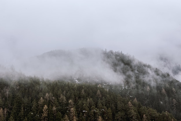 Blick auf grünen Berg von Nebel bedeckt