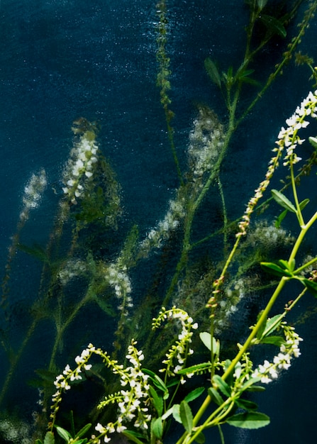 Blick auf natürliche undeutliche Blumen