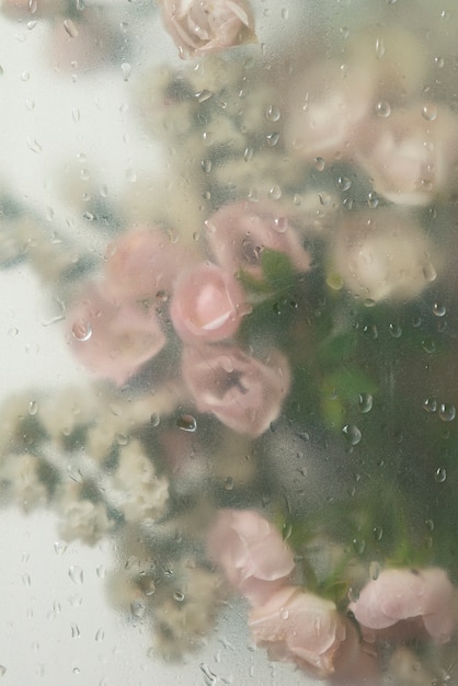 Blick auf Rosenblüten hinter kondensiertem Glas