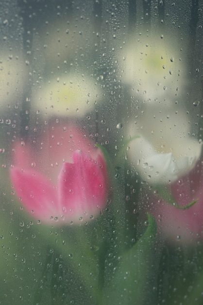 Blick auf Tulpenblüten hinter kondensiertem Glas