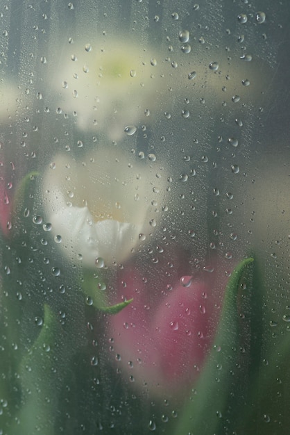 Blick auf Tulpenblüten hinter kondensiertem Glas