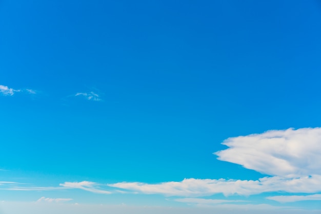 Blick niemand Sonnenschein Natur schön