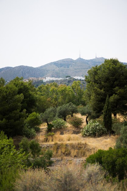 Blick von den Bergen bis zum Meer