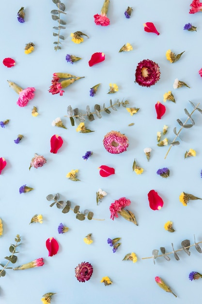 Kostenloses Foto blick von oben auf das wunderschöne blumensortiment