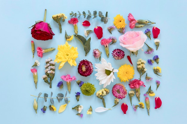 Blick von oben auf das wunderschöne Blumensortiment