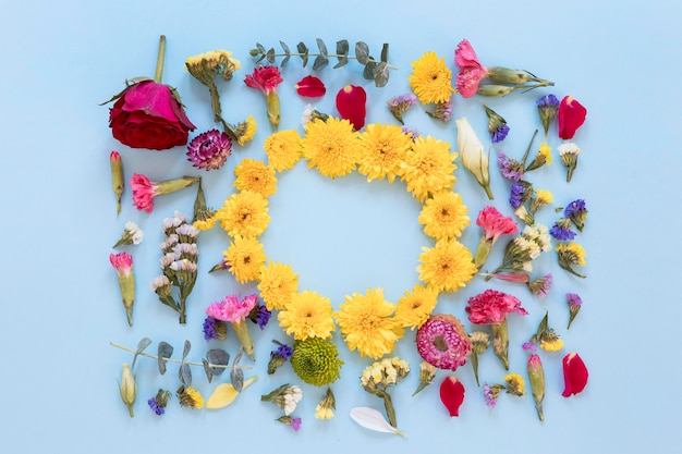 Kostenloses Foto blick von oben auf das wunderschöne blumensortiment