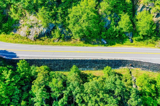 Blick von oben auf eine Straße durch die grünen Wälder in Virginia Mountains