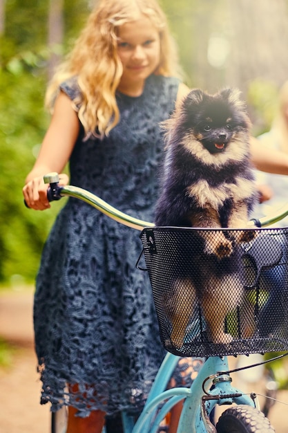 Blondes Mädchen auf einem Fahrrad und ein Spitzhund in einem Korb.