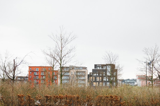 Kostenloses Foto bloße bäume auf dem gebiet mit stadtbild