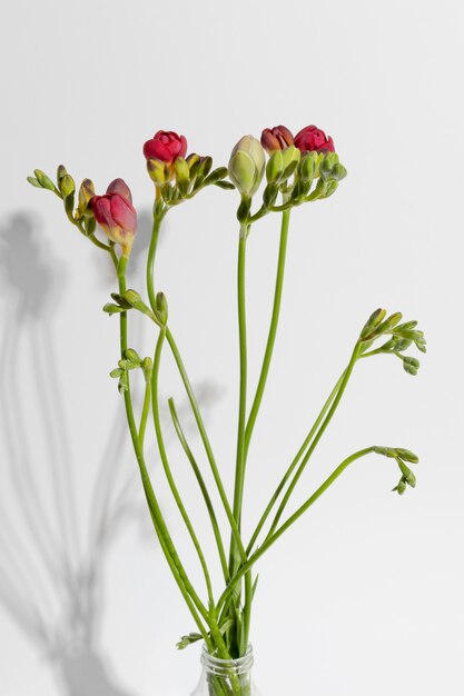 Blütenblume in der Vase auf dem Tisch