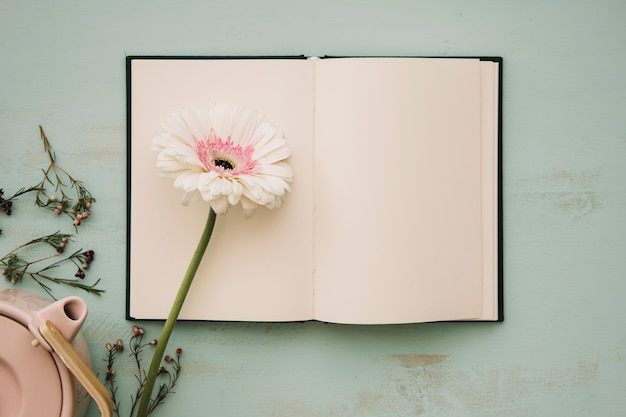 Blume auf geöffnetem Notizbuch