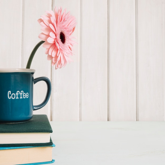 Blume in der Tasse auf Stapel Bücher