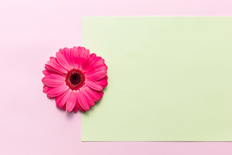 Kostenlose Foto blume