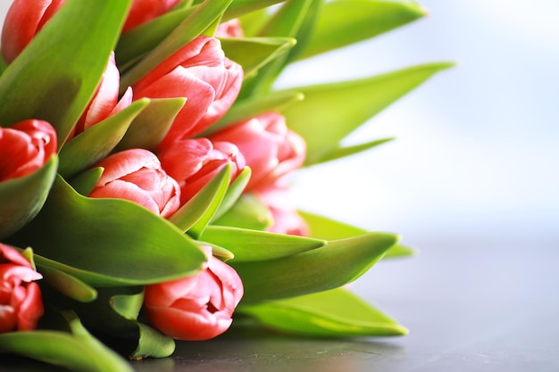 Blumen, frühlingsferien und wohnkulturkonzept - strauß schöner tulpen, floraler hintergrund