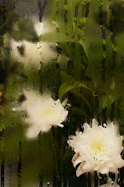 Blumen hinter Feuchtigkeitsglas