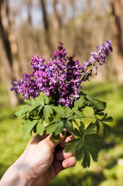 Blumen im Freien