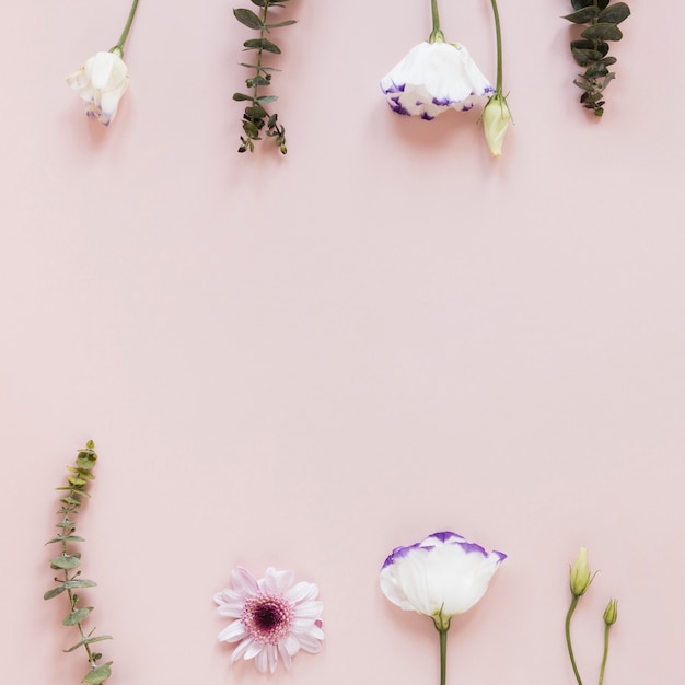 Blumen- und Blattfrühlingsrahmen mit Kopienraum