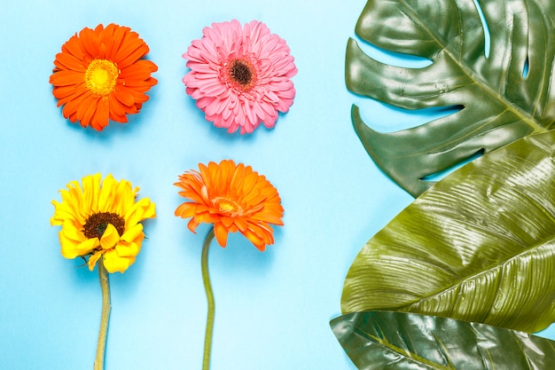 Kostenloses Foto blumen und monstera-blätter