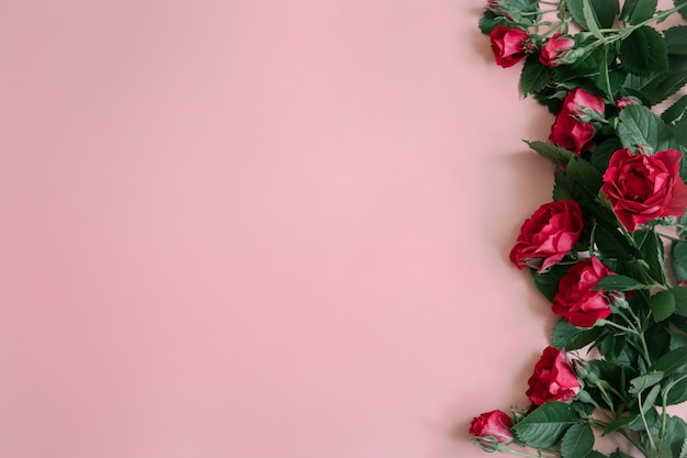 Blumenarrangement mit frischen roten Rosen auf rosafarbenem Oberflächenkopierraum