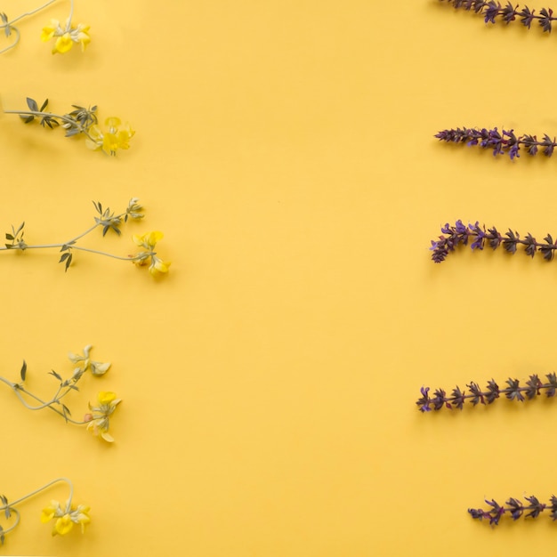 Blumengrenzen auf gelbem Hintergrund