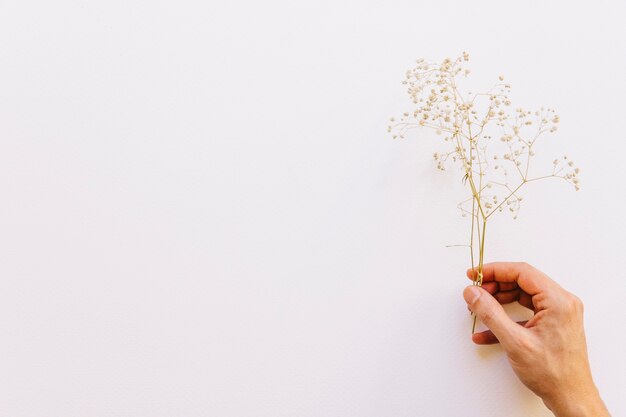 Blumenhintergrund mit der Hand, die Wildflower hält