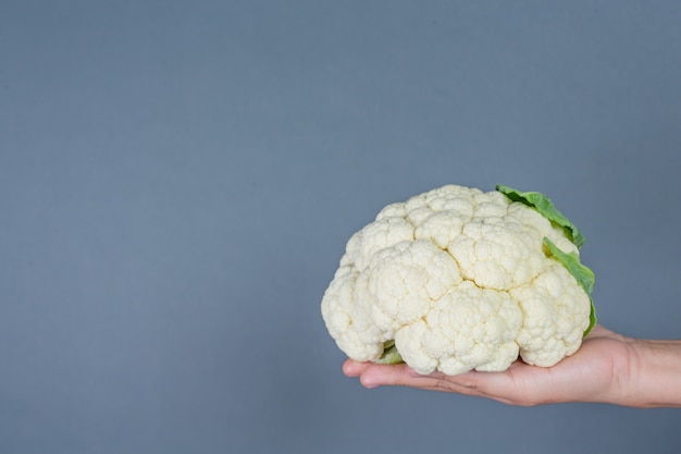 Blumenkohl auf einem grauen Hintergrund.