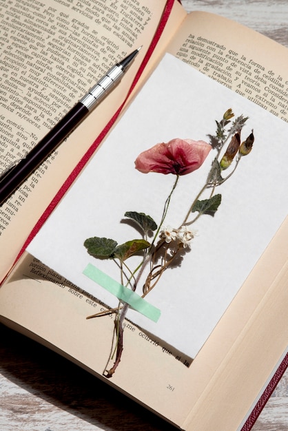 Blumenpresse von oben mit Buch