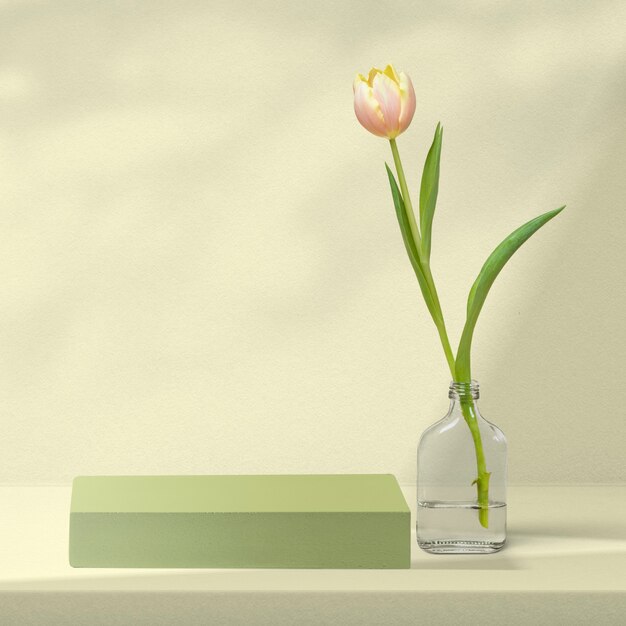 Blumenprodukthintergrund mit Tulpe in Grün