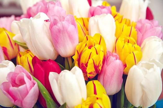 Blumenstrauß aus frischen mehrfarbigen Tulpenblumen auf altem blauem Holztisch