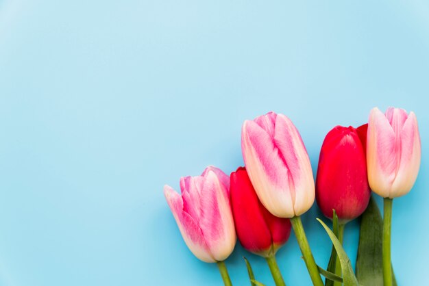 Blumenstrauß aus hellen Blumen im Bund