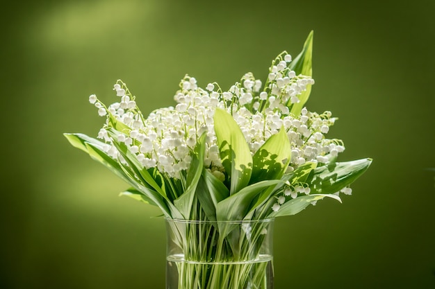 Blumenstrauß aus maiglöckchen in einer glasvase auf grünem hintergrund Premium Fotos