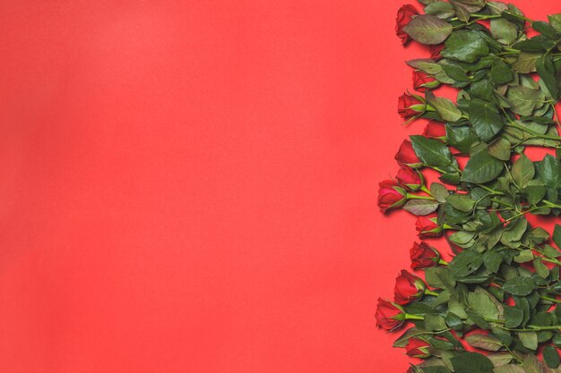 Blumenstrauß aus Rosen auf einem roten Hintergrund