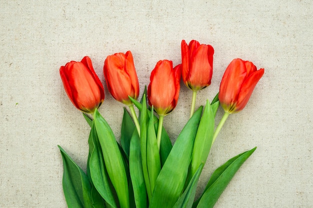 Kostenloses Foto blumenstrauß aus roten tulpen auf einer draufsicht auf hellem hintergrund