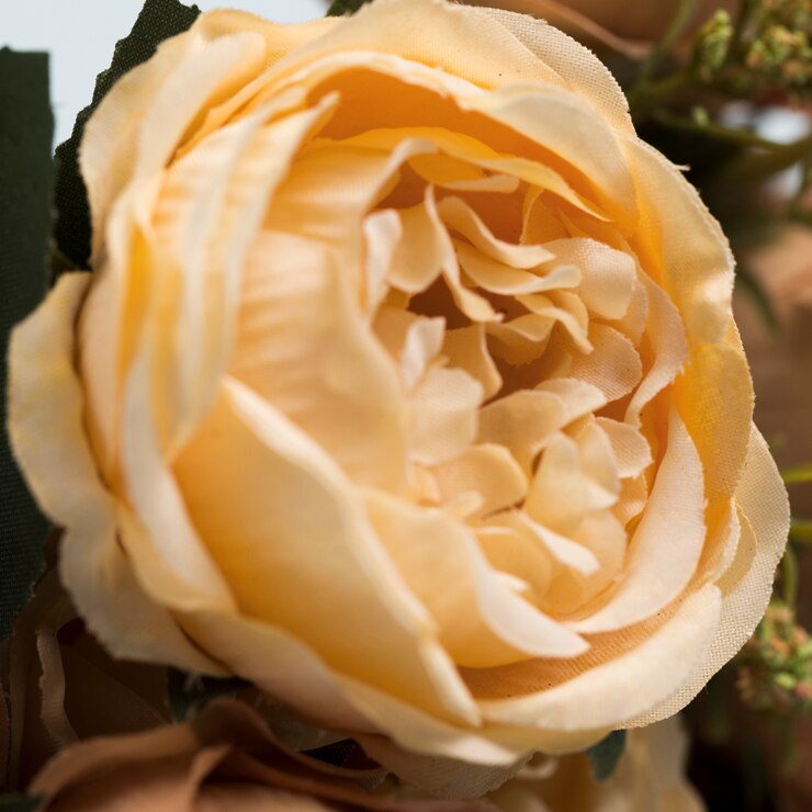 Kostenlose Foto blumenstrauß der blühenden rosen der nahaufnahme