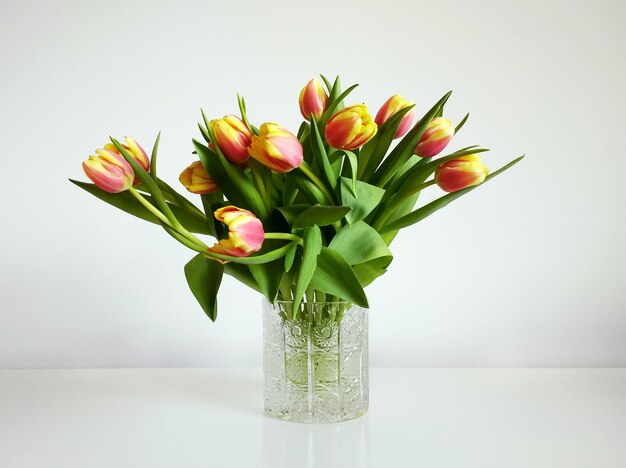 Blumenstrauß der orange Tulpen in einer Vase unter den Lichtern vor einem weißen Hintergrund