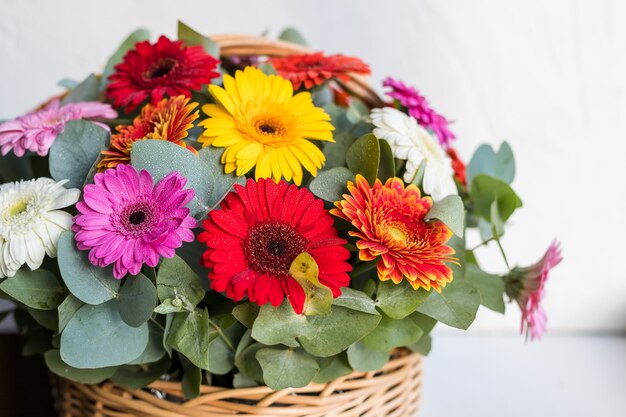 Gerbera Blumen Auf Schwarzem Hintergrund Isoliert Kostenlose Foto