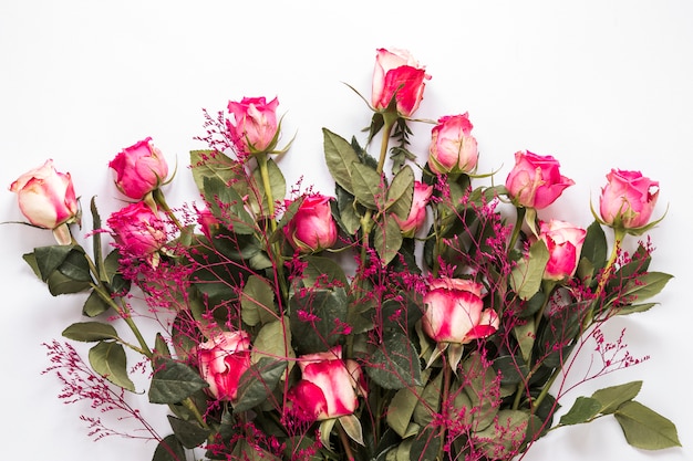 Blumenstrauß von frischen Rosen mit grünen Blättern und Zierpflanze