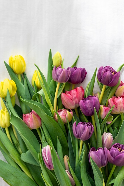 Blumenstrauß von tulpen auf einer draufsicht des weißen hintergrundes