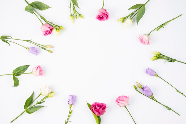 Kostenloses Foto blumenzusammensetzung, die runden rahmen schafft