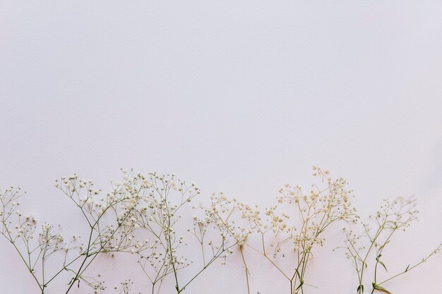 Blumenzusammensetzung mit Wildflowers auf Unterseite