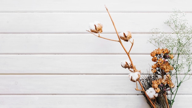 Botanischer Hintergrund mit Wildflowers