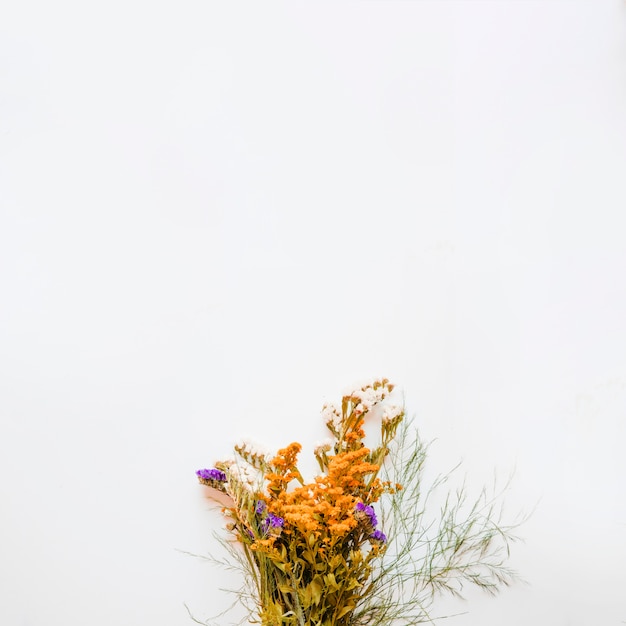 Kostenloses Foto bouquet von wilden blumen