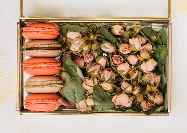 Box mit Blumenknospen und hellen Keksen auf Leuchttisch