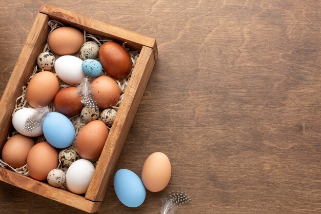 Box mit Eiern für Ostern und Kopierraum
