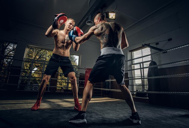 Boxer mit tätowiertem Rücken greift einen anderen Boxer im Ring an, während sie trainieren.